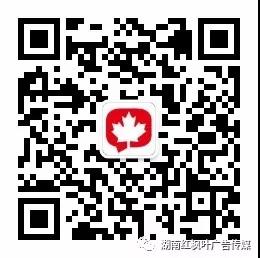 紅楓葉傳媒 紅楓葉傳媒