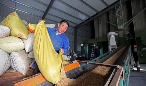 糧食收購(gòu)站短信宣傳案例